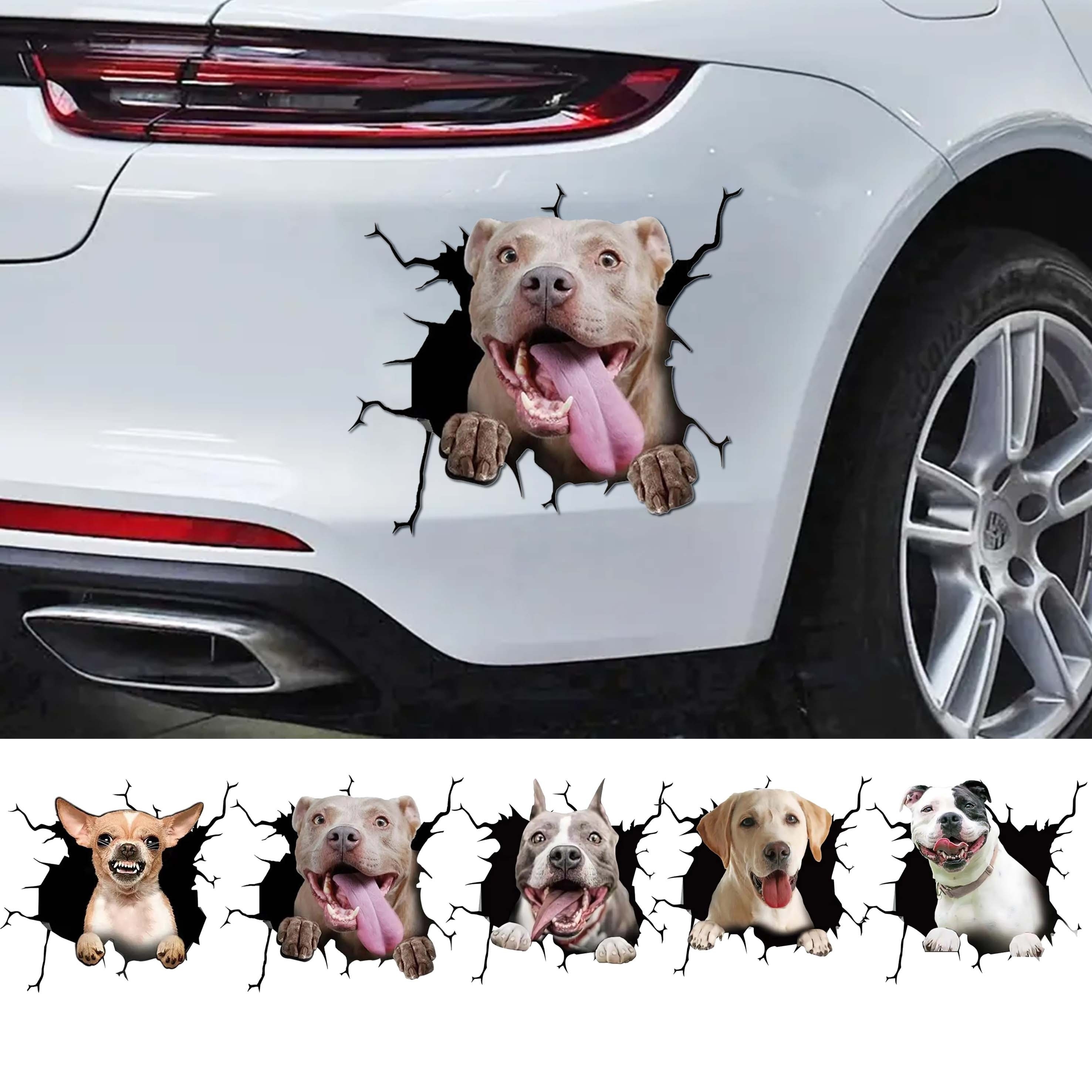 Hund Fenster Klammern Auto Riss Abziehbilder Haustier Aufkleber