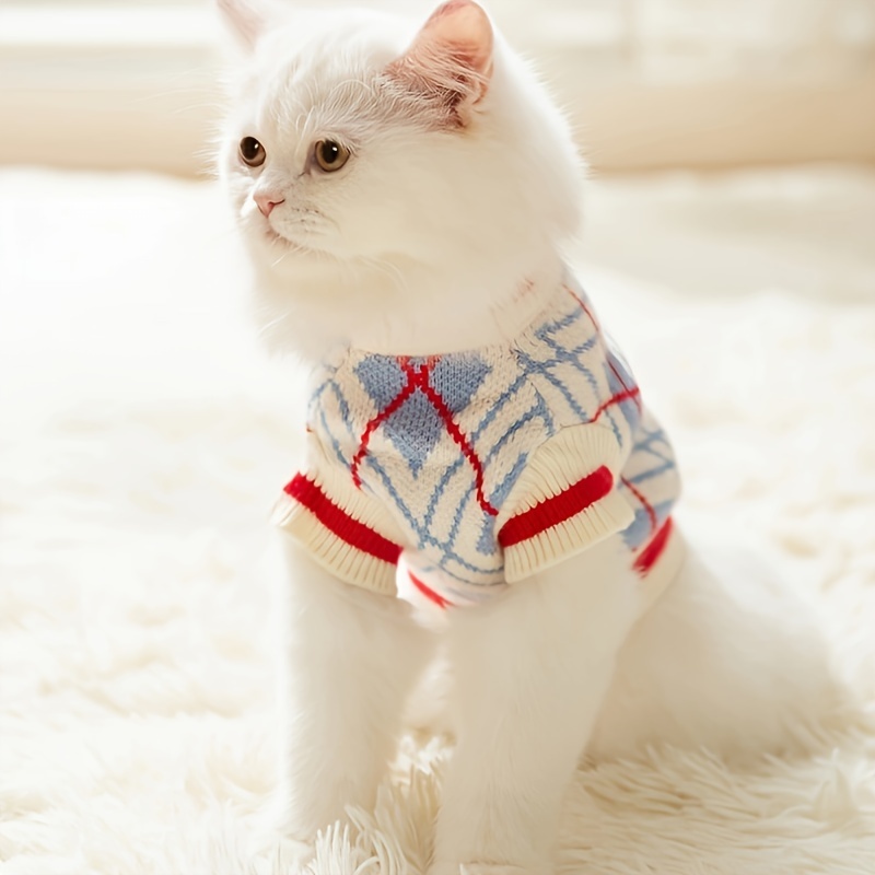 Small 2024 cat sweater