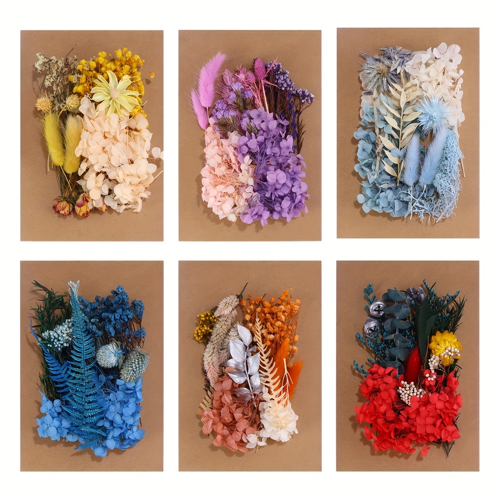 Flowers Pressed Flower Dried Resin Craft Nail Art Petals Crafts Preserved  Plants Bouquet Fake Artificial Stickers 