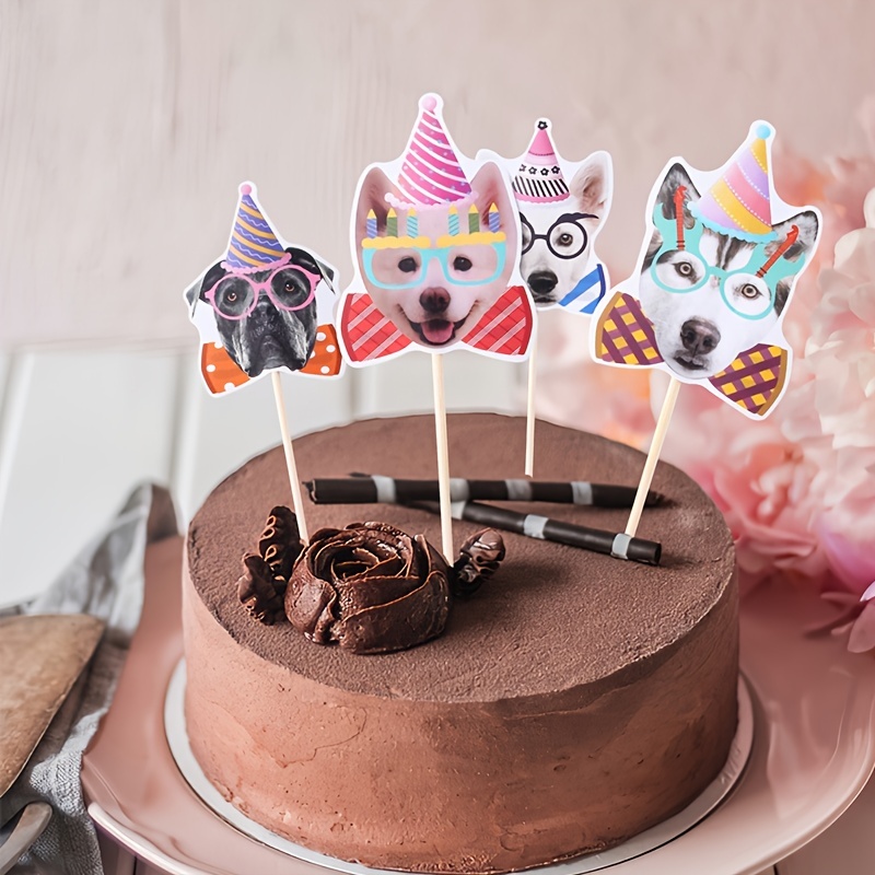 Pinterest in 2023 | Dog birthday cake, Rainbow cake, Cake
