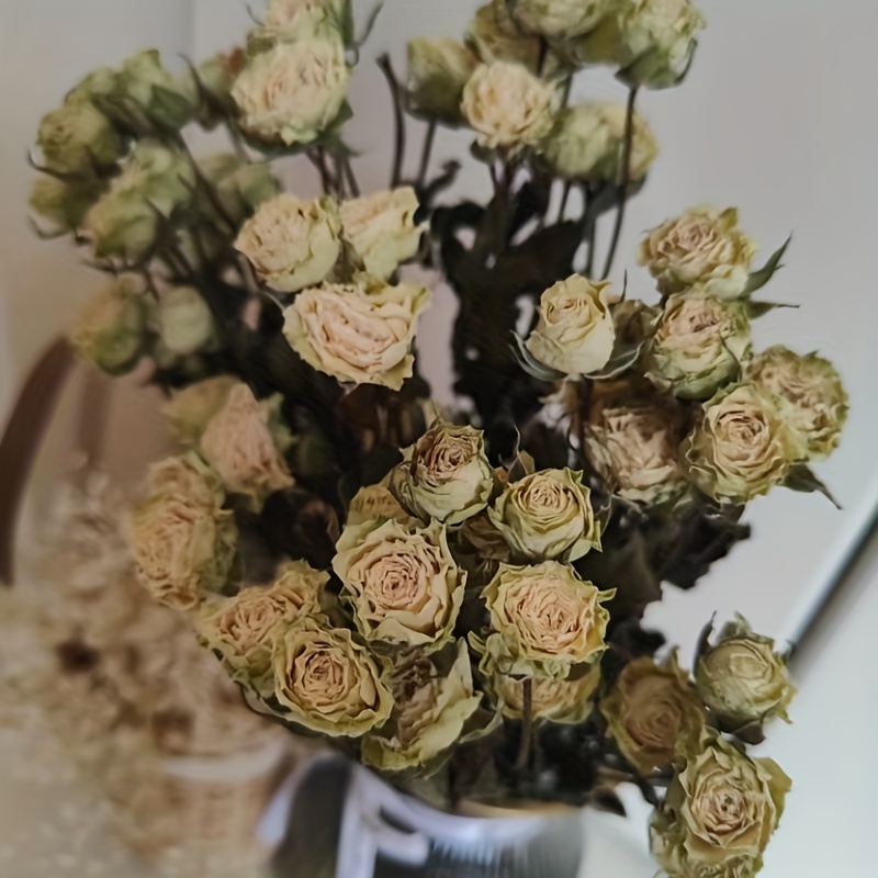 Dried Rose Flower Bouquet Natural Dried Flowers Flowers - Temu