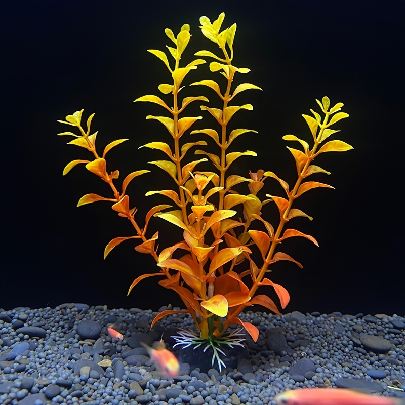 POPETPOP Ornements De Plantes Aquatiques Simulées Branche De Brindilles De  Plantes Simulation De Bonsaïs Plantes D'aquarium De Poissons Tropicaux