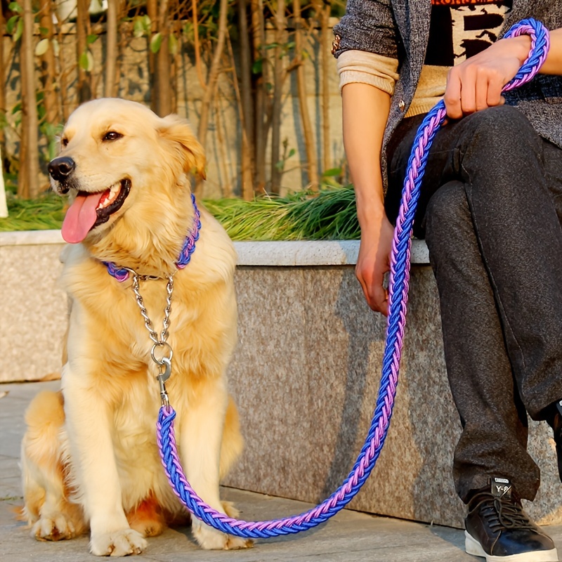 Laisse rétractable pour Petit Chien - Chien Laisse Grands Chiens,Laisse  pour Chiot avec Verrouillage élastique antidéflagrant Contrôle du Confort