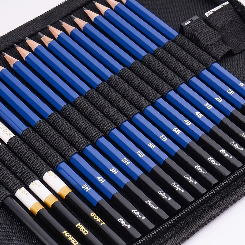 Pro Drawing Kit Sketching Pencils Set,portable Zippered Travel  Case-charcoal Pencils, Sketch Pencils, Charcoal Stick,sharpener,eraser.art  Supplies For Artists Beginner Adults Teens - Temu New Zealand