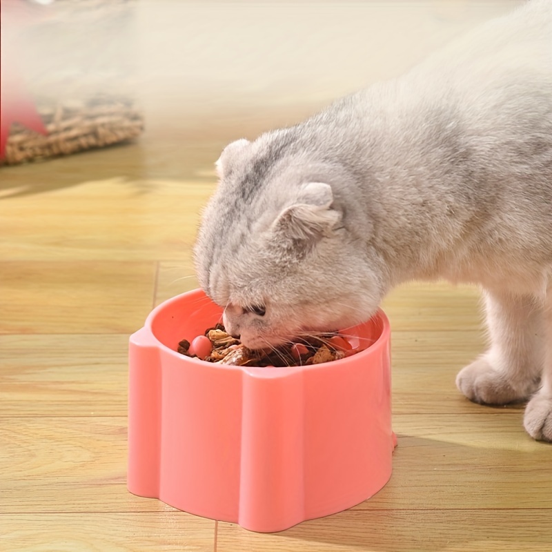 Slow Feeder Cat Bowl With Stand Anti choking Pet Puzzle Food - Temu