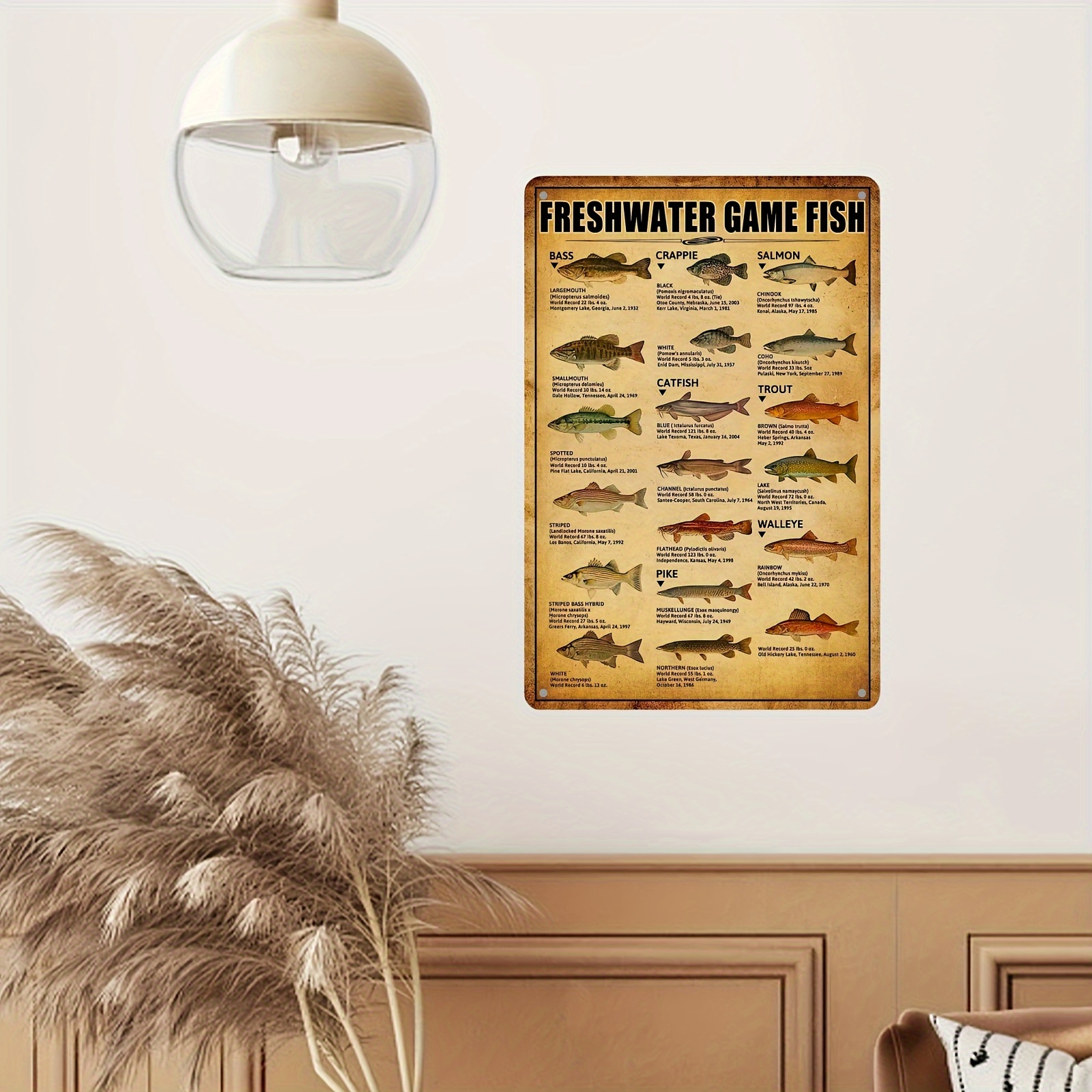 Freshwater Fish Tin Sign Vintage Fishing Wall Decor Home - Temu