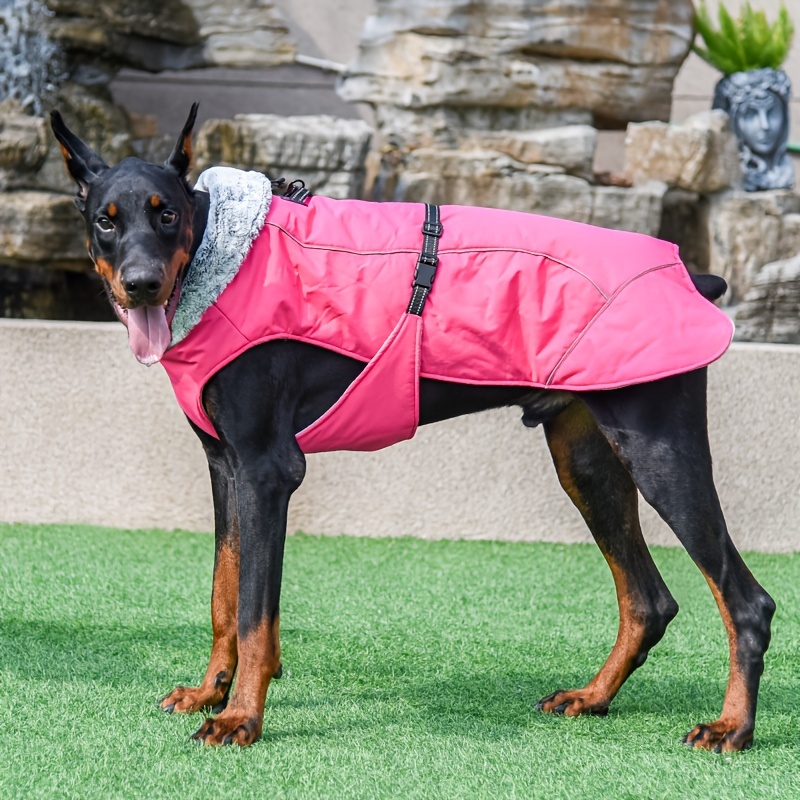 Harnais pour chien de compagnie Fort réglable Réfléchissant Rembourré  Sécurité Vêtements de chiot Avec Traction