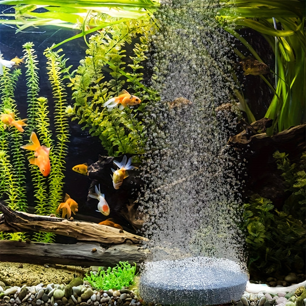 Big Capacity Oxygen Outdoor Fish Bucket - Inspire Uplift