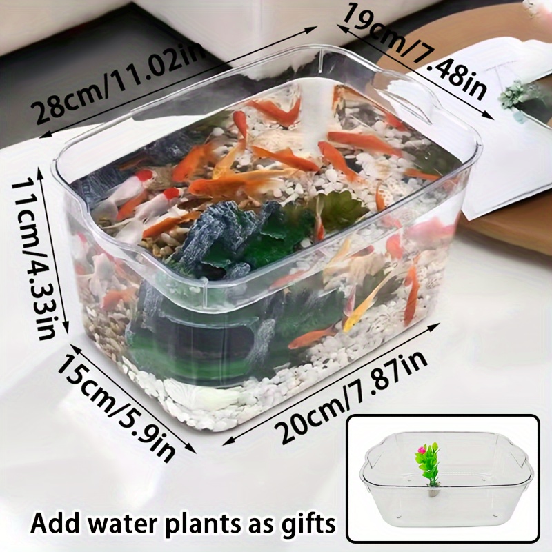 Bol à poissons transparent en plastique rond multifonction pour décoration  de bureau, bibliothèque : : Tout le reste