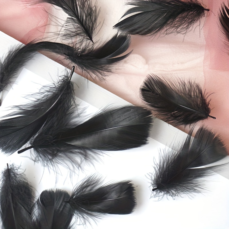 600pcs Colorful Feathers 20 Colors Craft Feathers 3-5 Inches