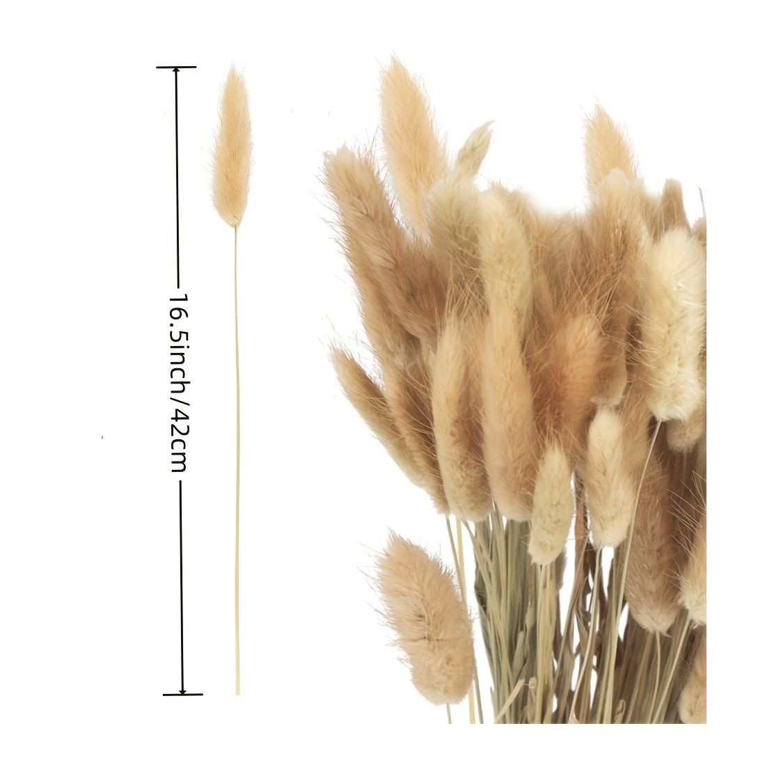 Dried Bunny Tail Grass, Small Natural Dry Grass Dried Grey Flowers Bouquet,  Wedding Dry Flower Bunch For Home Garden Party Decor Flower Arrangement,  Winter Xmas Home Decor - Temu