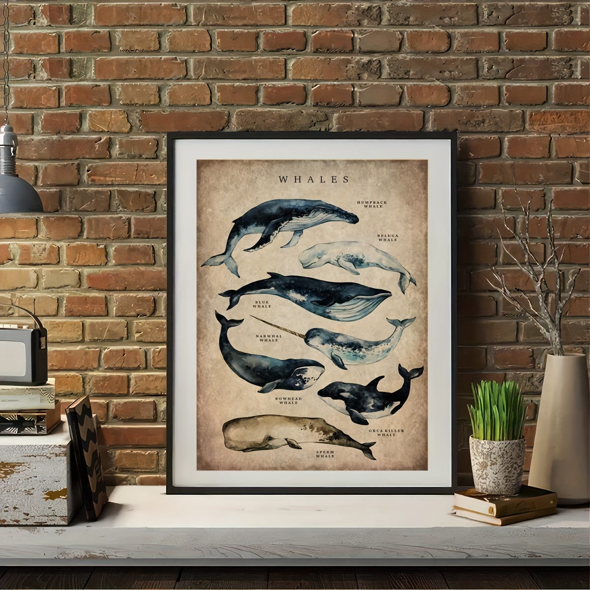  Education Poster Fishing Art Wall Decor Types of