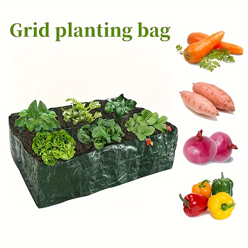 Sunshine Room Planting, Children's Vegetable Planting Toys