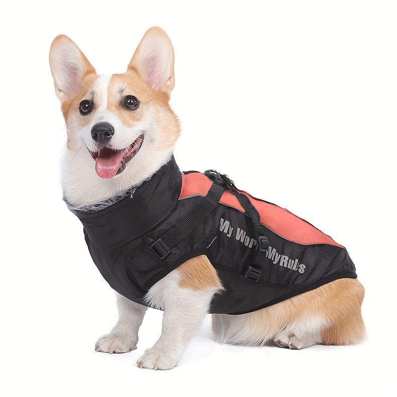 Dog 2025 storm jacket