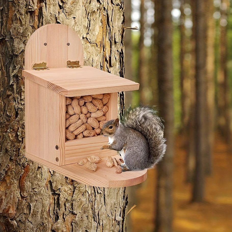 MIXXIDEA Mangeoire à écureuils en bois, mangeoires pour écureuils pour  jardin extérieur, station d'alimentation pour écureuils avec couvercle  vert, facile à remplir et à nettoyer avec panneau avant amovible, mangeoire  pour écureuils 