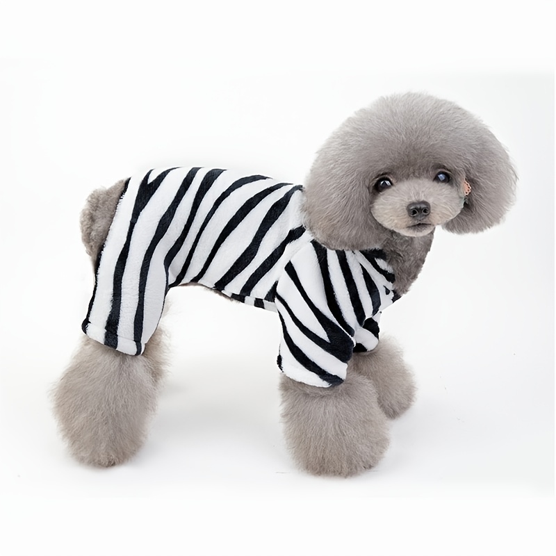 zebra dog costume