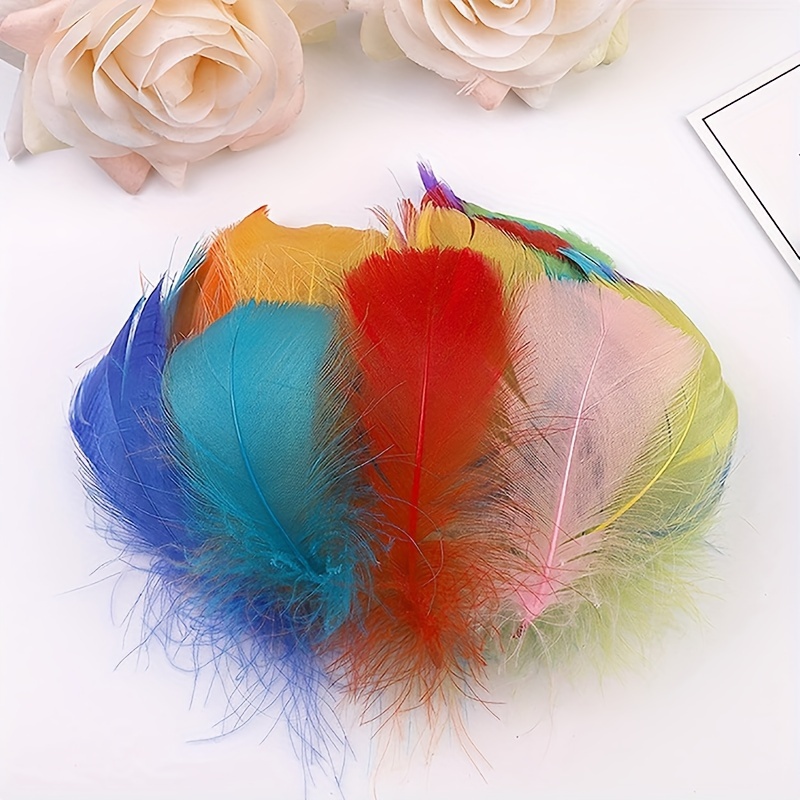 Colored Feathers Colored Feathers Color Craft Feathers - Temu