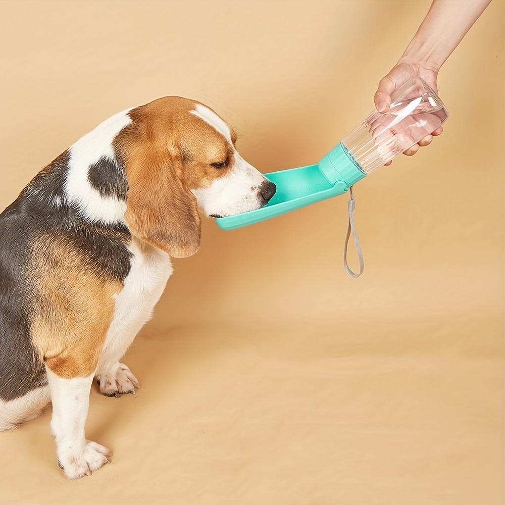 1 Borraccia Portatile Per Animali Domestici Per Cani E Gatti, Distributore  Di Acqua Pieghevole Per Animali Domestici Per Viaggi All'aperto - Temu Italy
