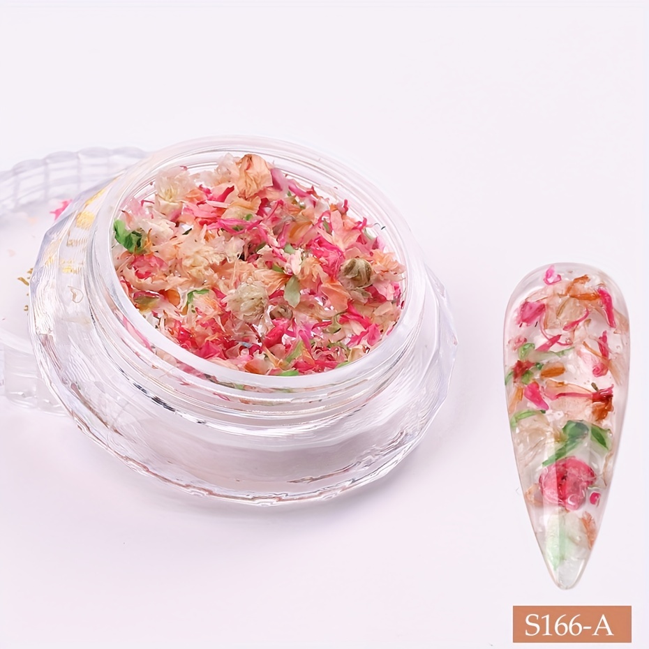 3d Dried Flowers Nail Art Decorations Colorful Real Natural - Temu