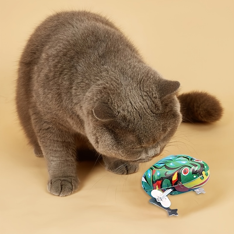 Jumping frog shop toy for dogs