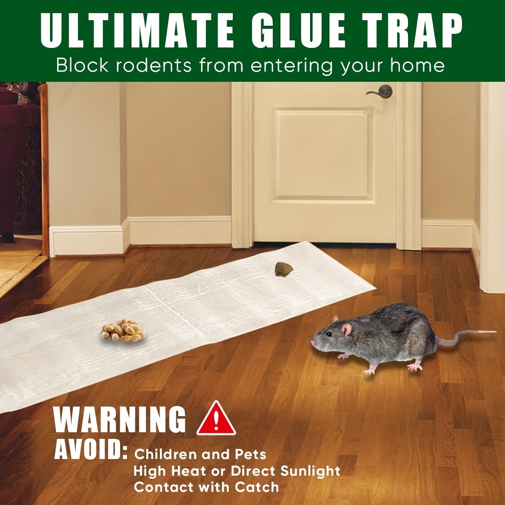 Eliminate Rodents Instantly With Sticky Trap Indoor Home Rat Traps! - Temu