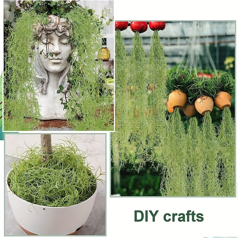 Artificial Spanish Moss For Potted Plants Garland For Crafts - Temu