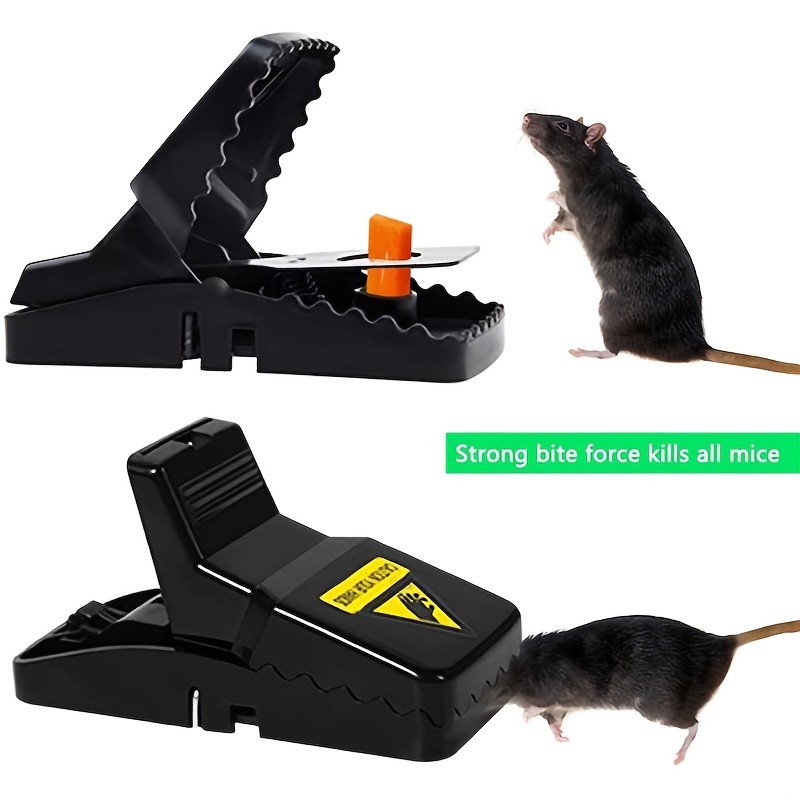 Mouse Traps, Mice Traps For House, Small Mice Trap Indoor Quick Effective  Sanitary Safe Mousetrap Catcher For Family And Pet - Temu