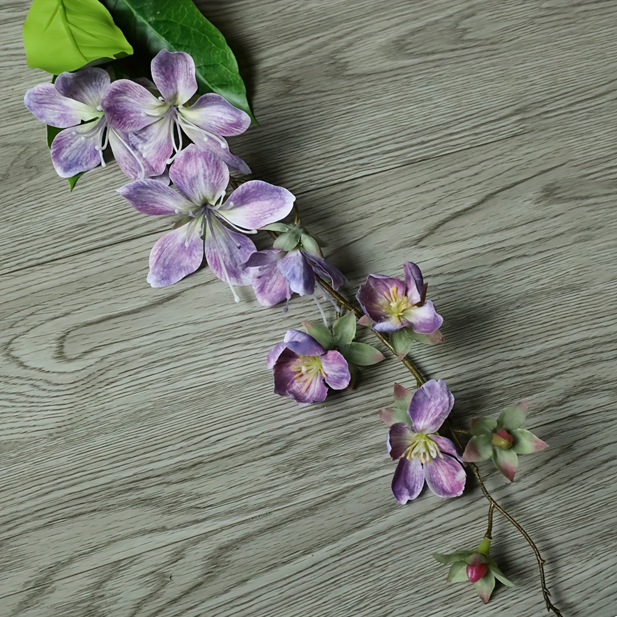 Jasmine Flowers