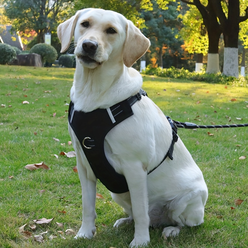1pc dog chest strap vest style dog harness for leash walking dog supplies details 1