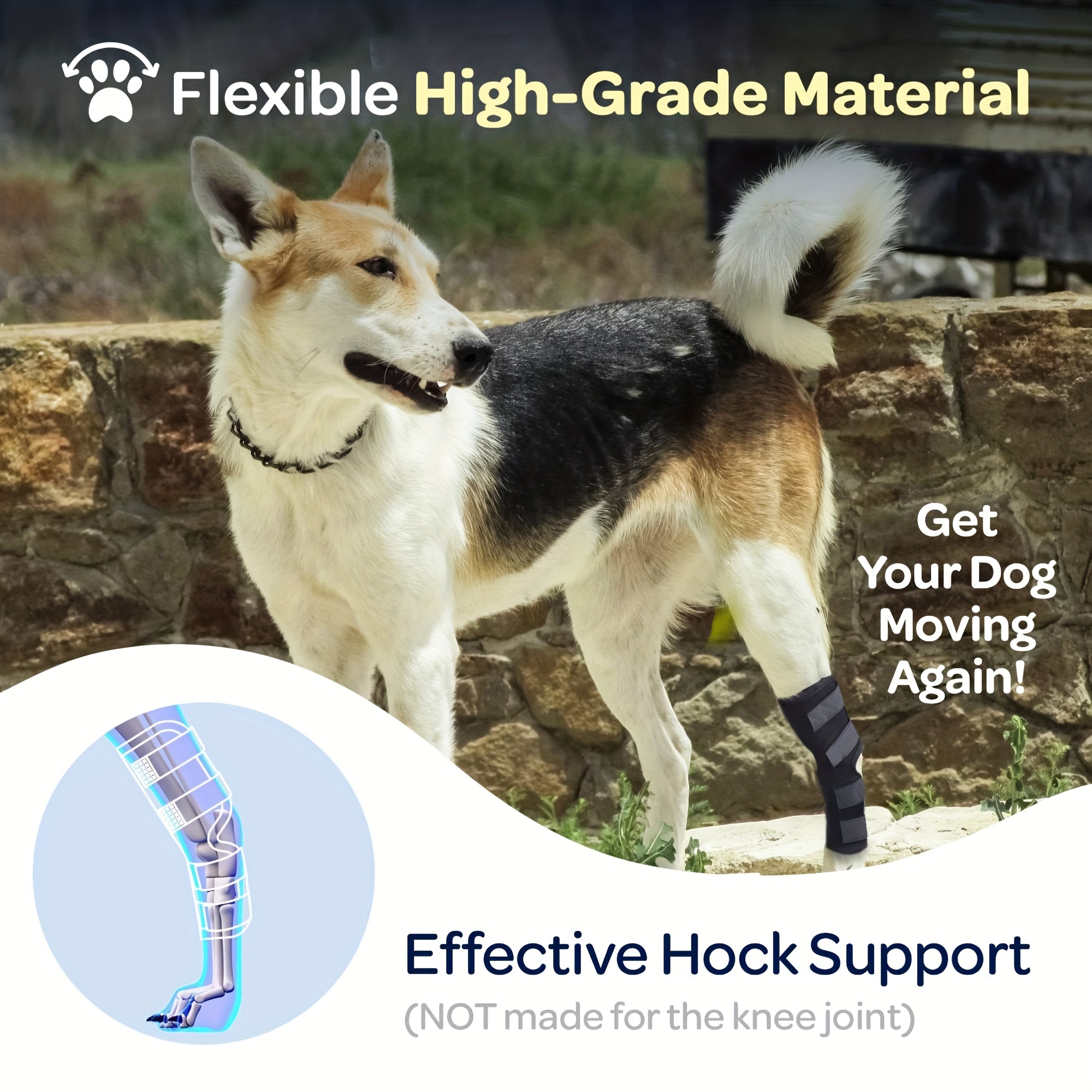 Super Supportive Canine Hock Brace