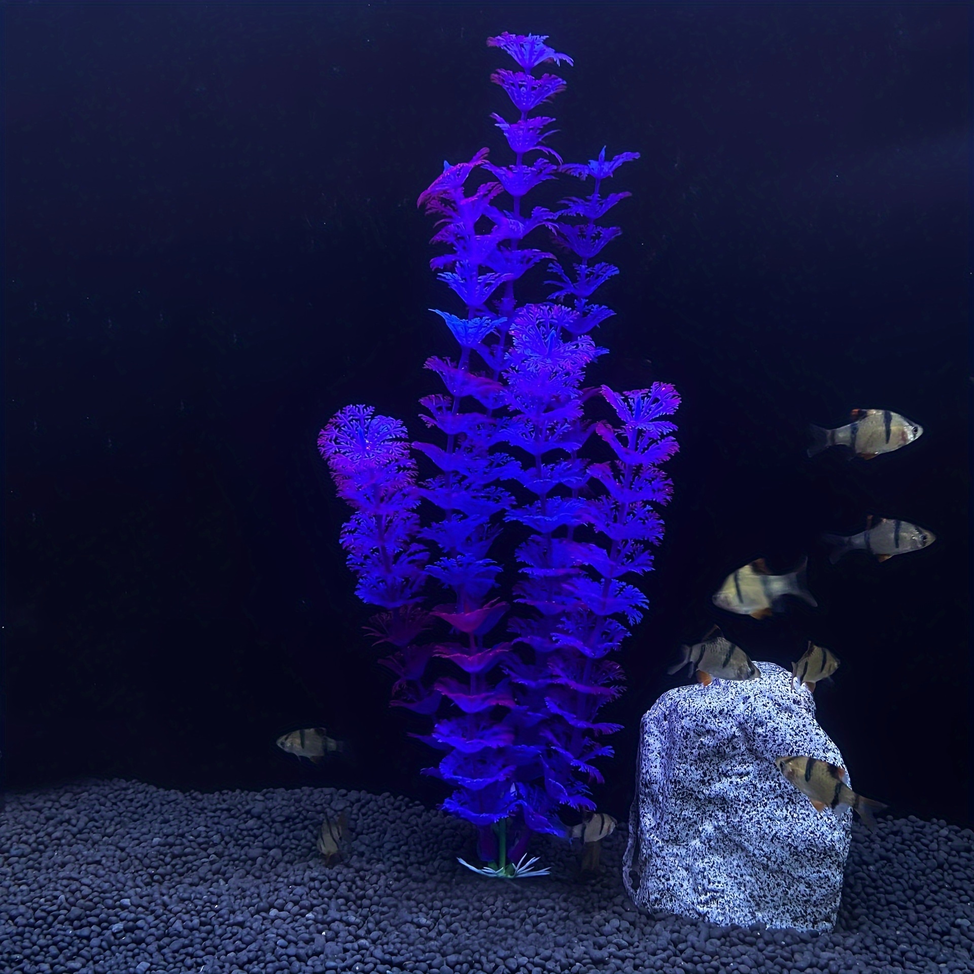 1pc Aquarium Plants Fish Tank Decoration Colorful Artificial Fish Tank  Decor Plants Aquarium Decorations For Household And Office Aquarium  Simulation Small To Large And Tall, Don't Miss These Great Deals