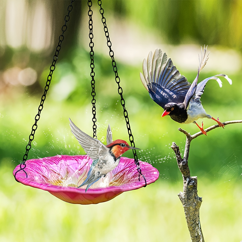 Acheter Fenêtre en verre transparent suspendu mangeoire à oiseaux maison  Table graine cacahuète hôtel aspiration