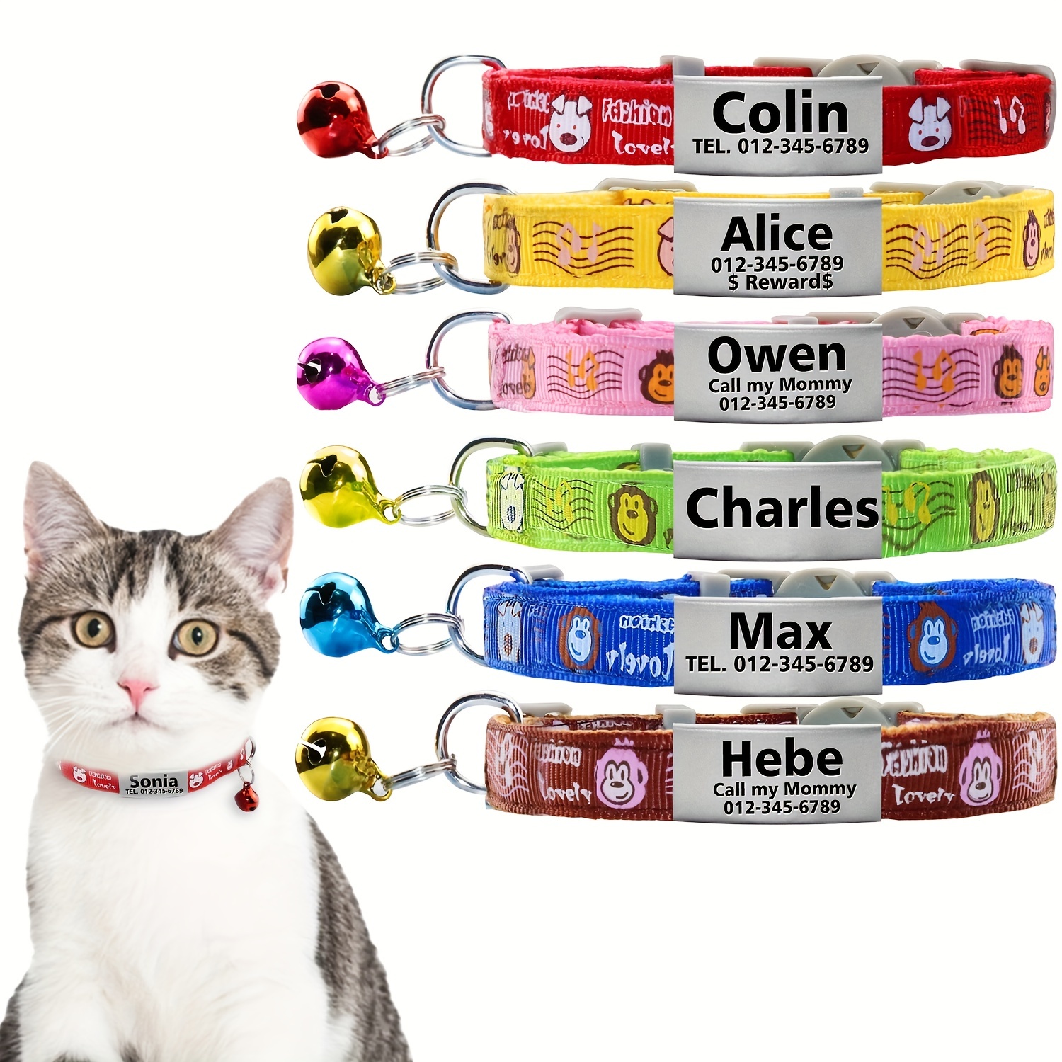 Cat collar with 2024 name and number