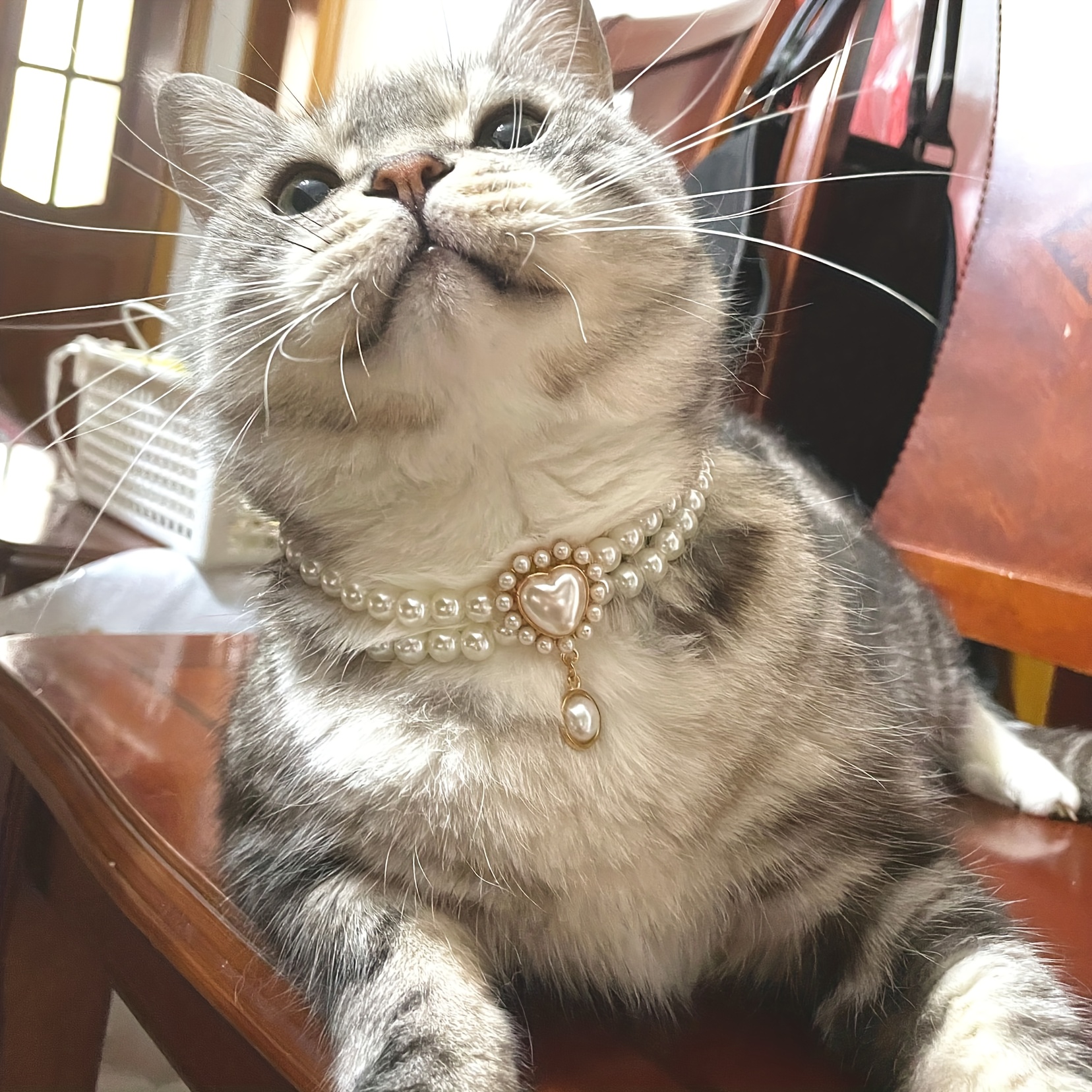 Cat Pendant Pet Collar