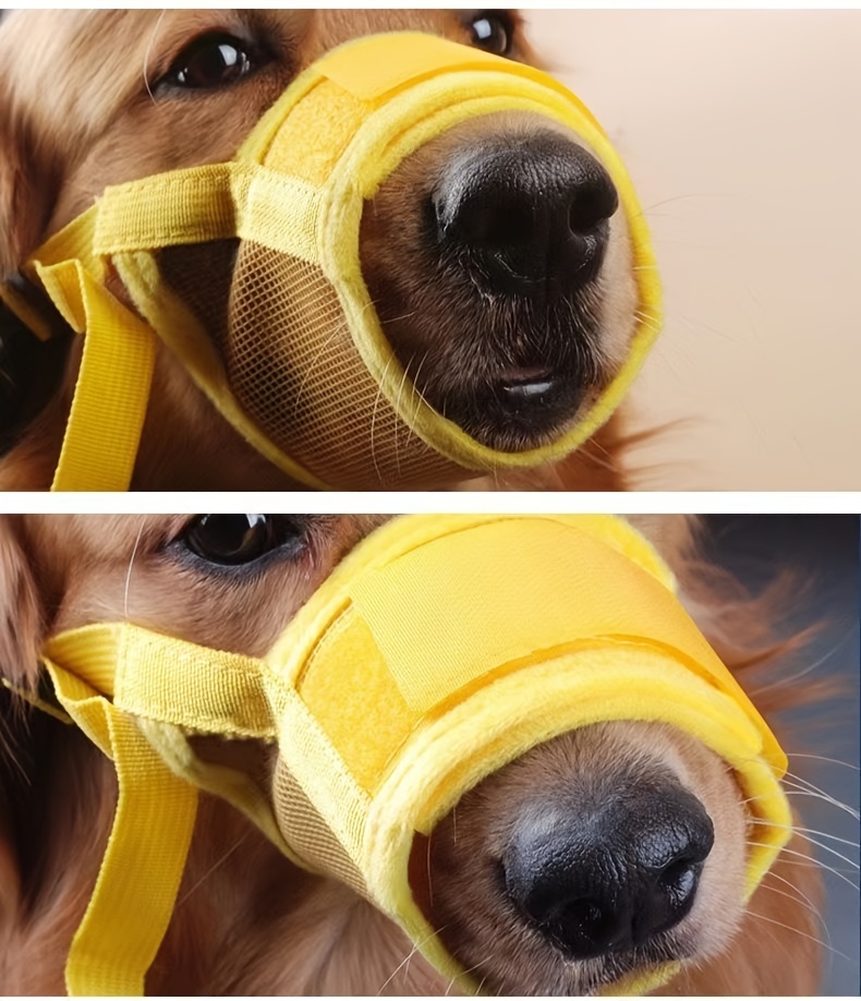 Museruola Per Cani, Museruole Rivestite In Morbida Rete Con Cinturini  Regolabili Per Cani Di Taglia Piccola E Media, Museruole Traspiranti Per  Cuccioli - Temu Switzerland