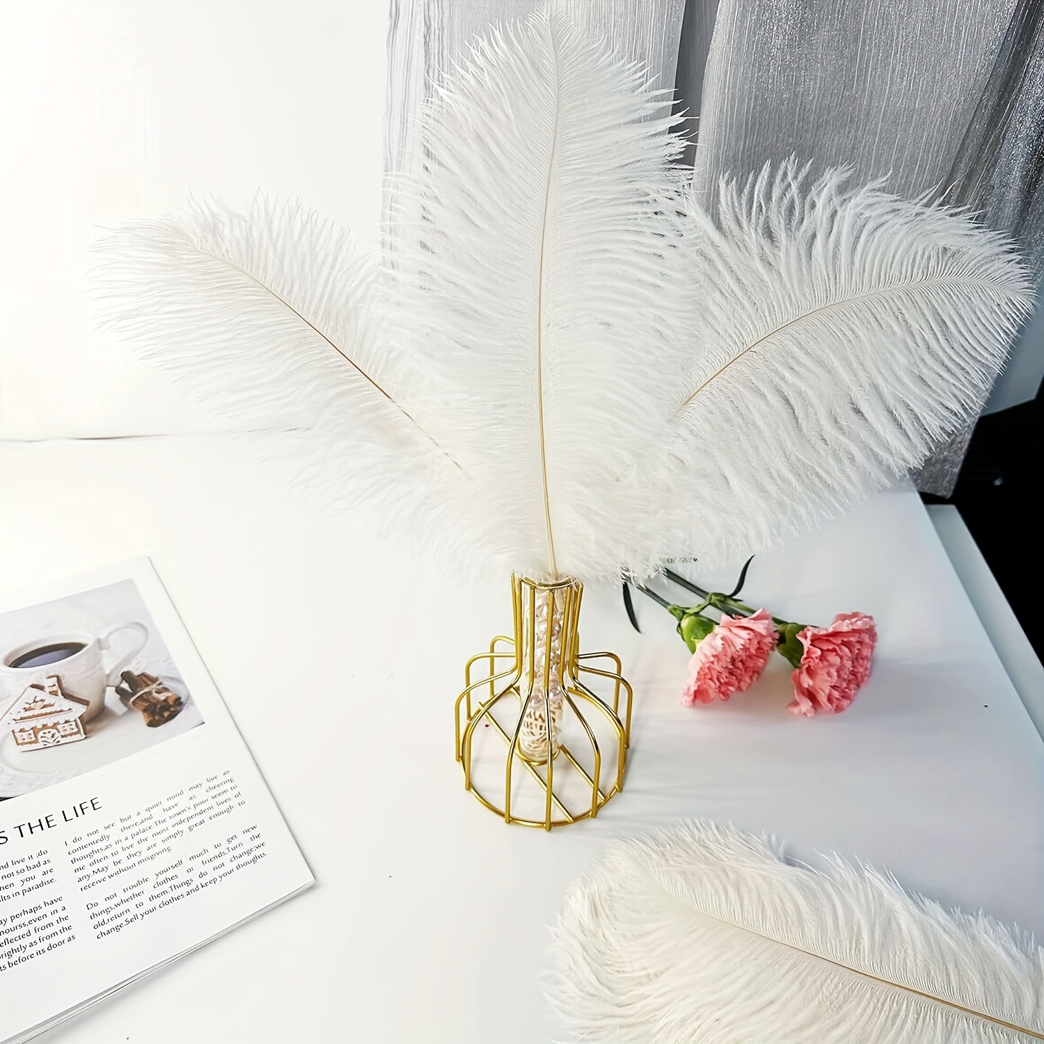Mardi Gras Ostrich Feathers Clipart By Digital Curio