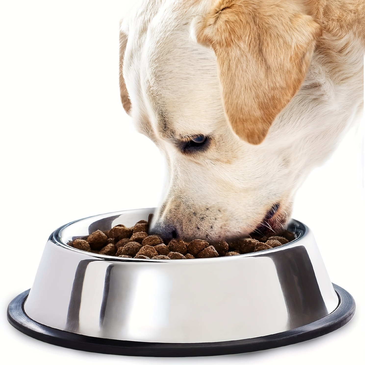 Elevated Pet Dog Bowl Stainless Steel Dog Food Bowl Water - Temu