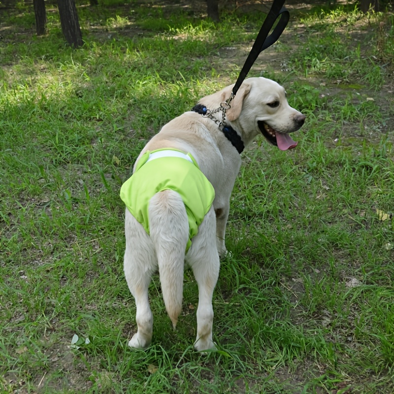 Pantalones Pañales Mascotas, Envolturas Pañales Perros Perros Pequeños  Medianos, Pantalones Fisiológicos Mascotas, Pago En Línea Rápido Seguro