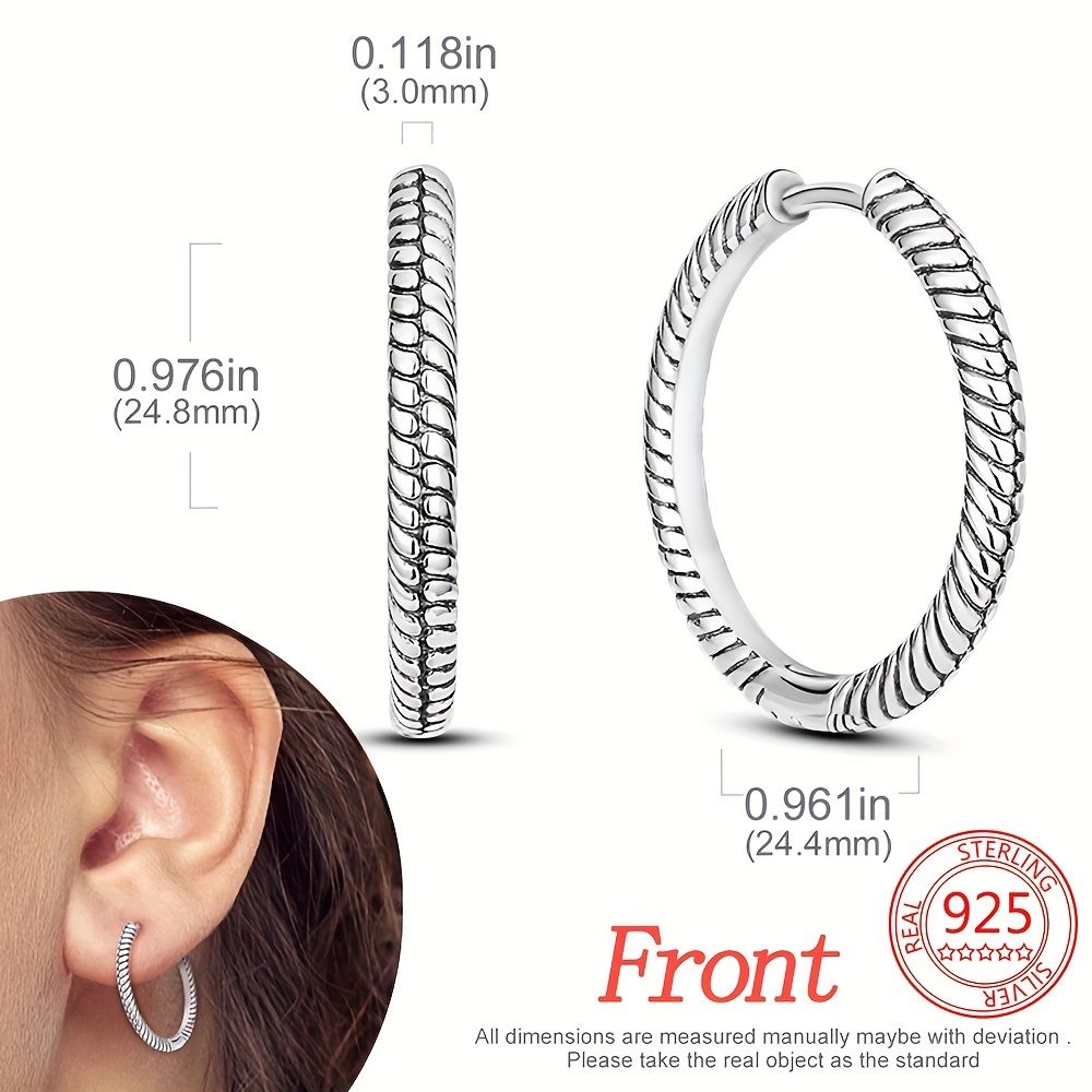 Minimalist Style Silvery Hoop Earrings, 925 Sterling Silver