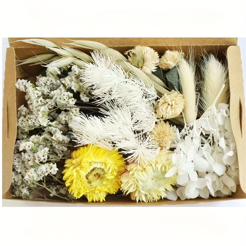 1 Caja Flores Eternas Caja Flores Estrella Completa Variedad - Temu