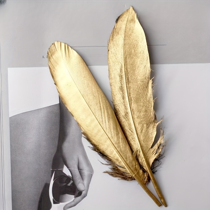 Wall Background Decoration Feathers