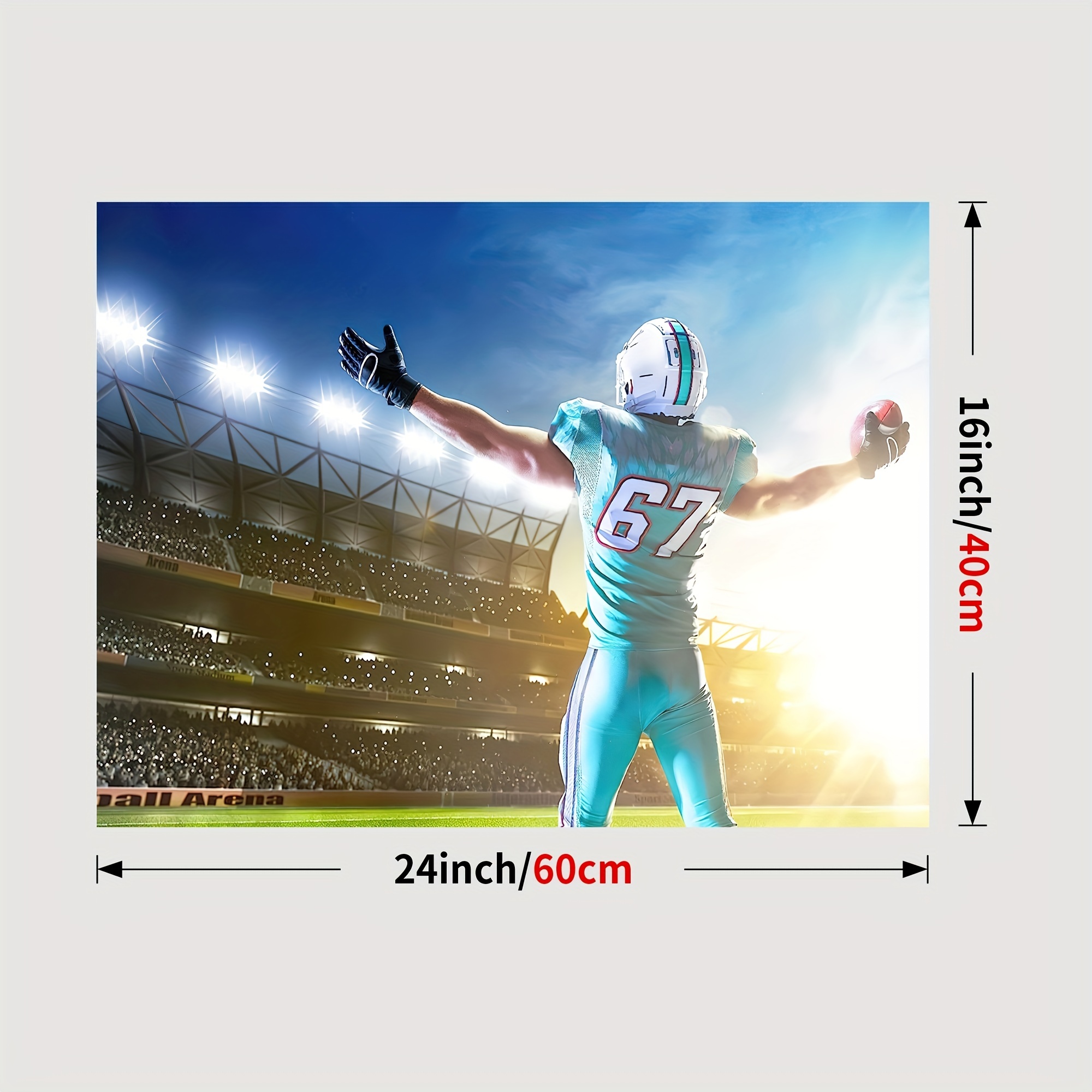 NFL Miami Dolphins Posters, Football Wall Art Prints & Sports Room Decor