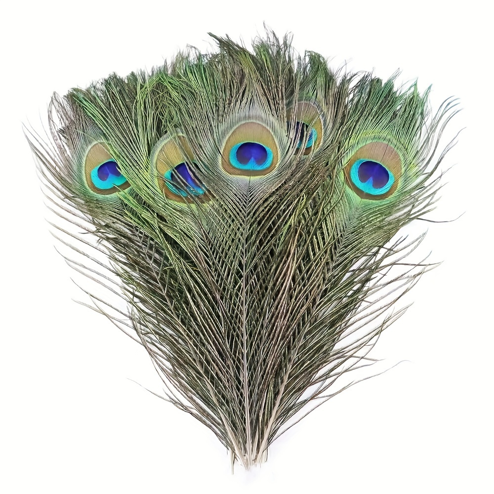 Lot Natural Peacock Feathers For Diy Craft Wedding Holiday - Temu