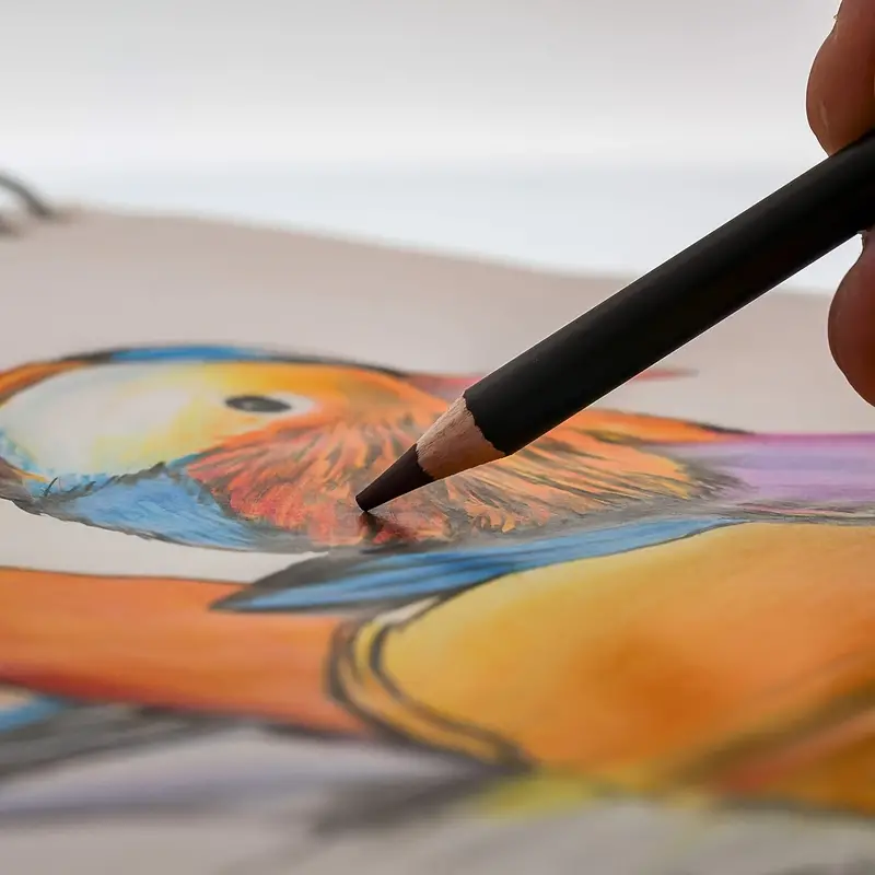 Art Supplies Set Colored Drawing Pencils Art Kit Sketching - Temu Germany