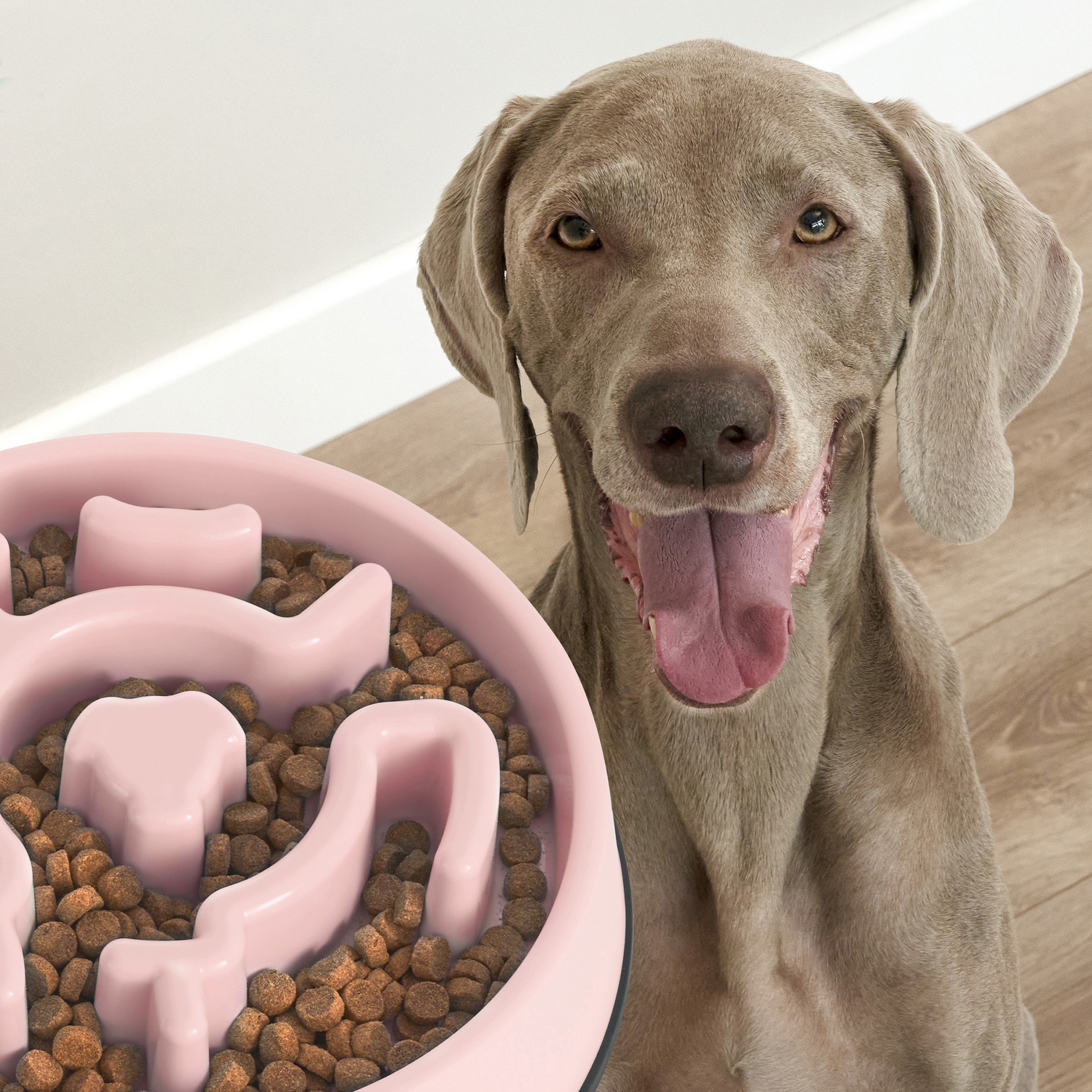 Plastic Pet Slow Feeder Dog Food Bowl With Non-slip Bottom Anti-choking Pet  Feeding Puzzle Bowl For Dogs And Cats Pet Supplies - Temu