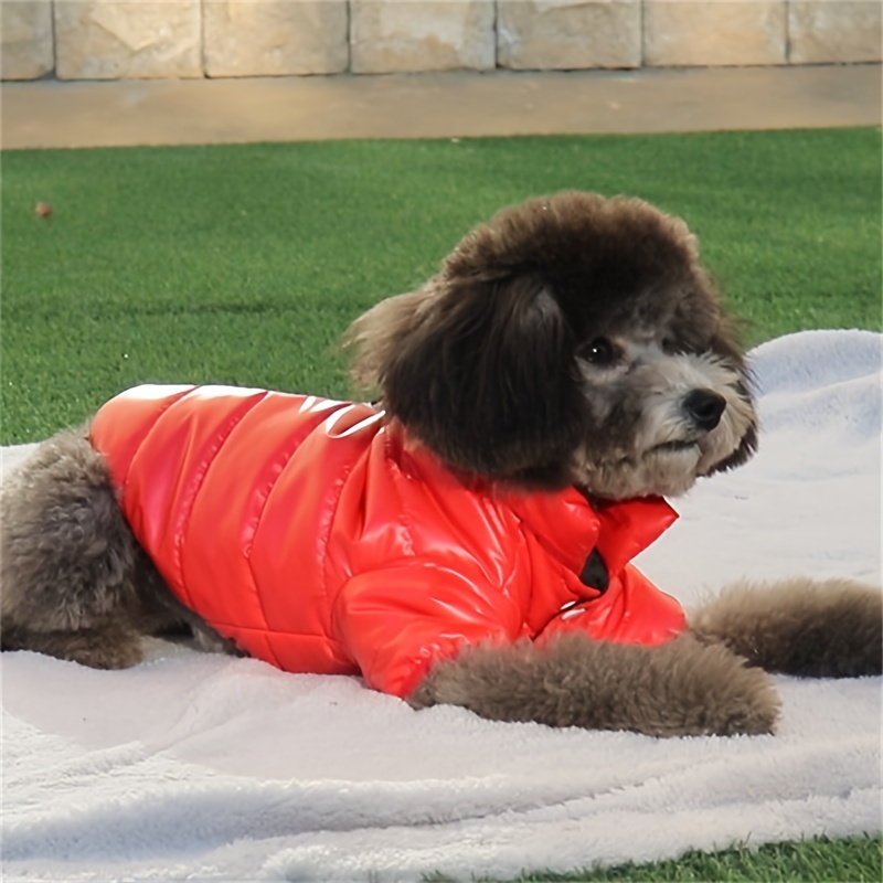 Manteaux d'hiver pour chiens de petite, moyenne et grande taille, veste  imperméable pour chien pour l'extérieur, gilet d'hiver pour chien - Temu  France