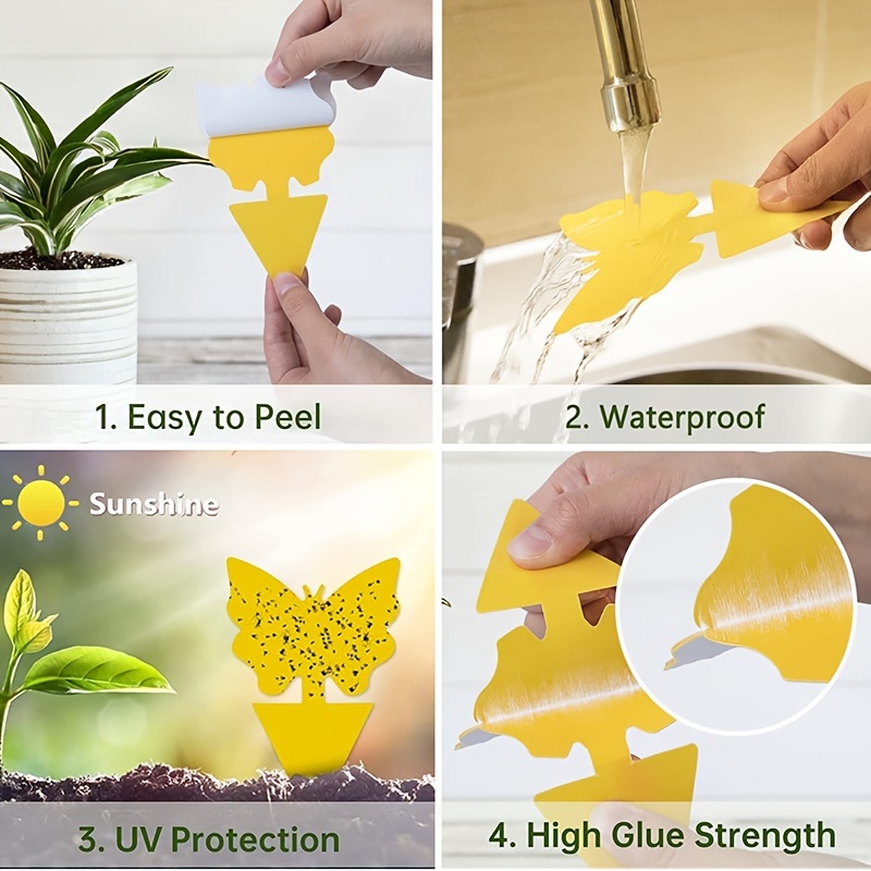 Yellow Sticky Bug Traps Sticky Fruit Fly Gnat Trap Mosquitos,Fungus Dual  Sided Glue Insect Catcher to Control Bugs Indoor Outdoor for White
