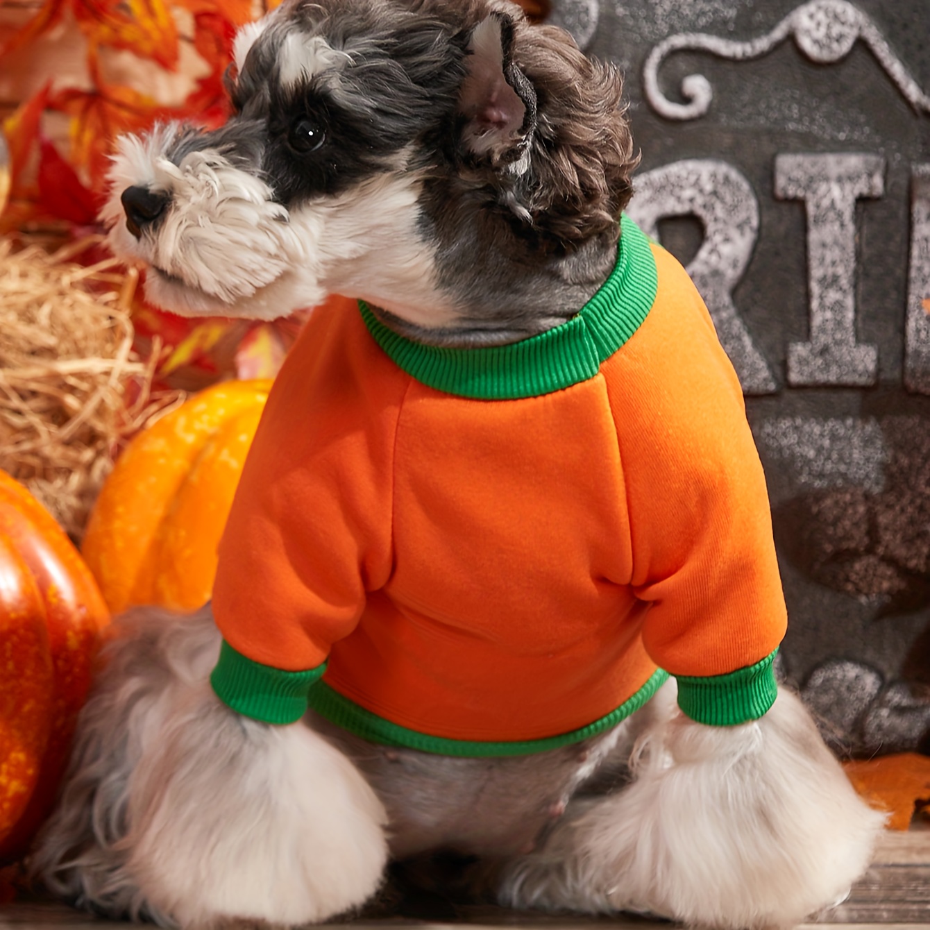 Halloween Pet Costume Funny Pumpkin Dog Cosplay Clothes Autumn Winter Pet  Clothes For Dogs And Cats Festival Party Dress Up Apparel - Temu