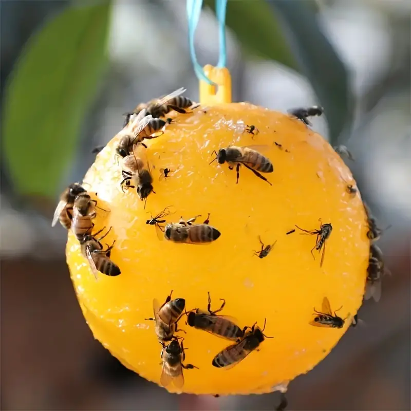Sticky Traps Balls, Houseplant Sticky Bug Traps Capturing Fruit