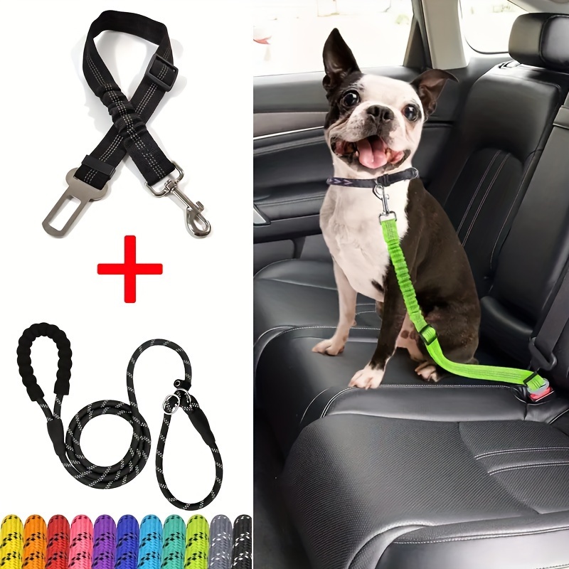 Stretchable dog outlet leash